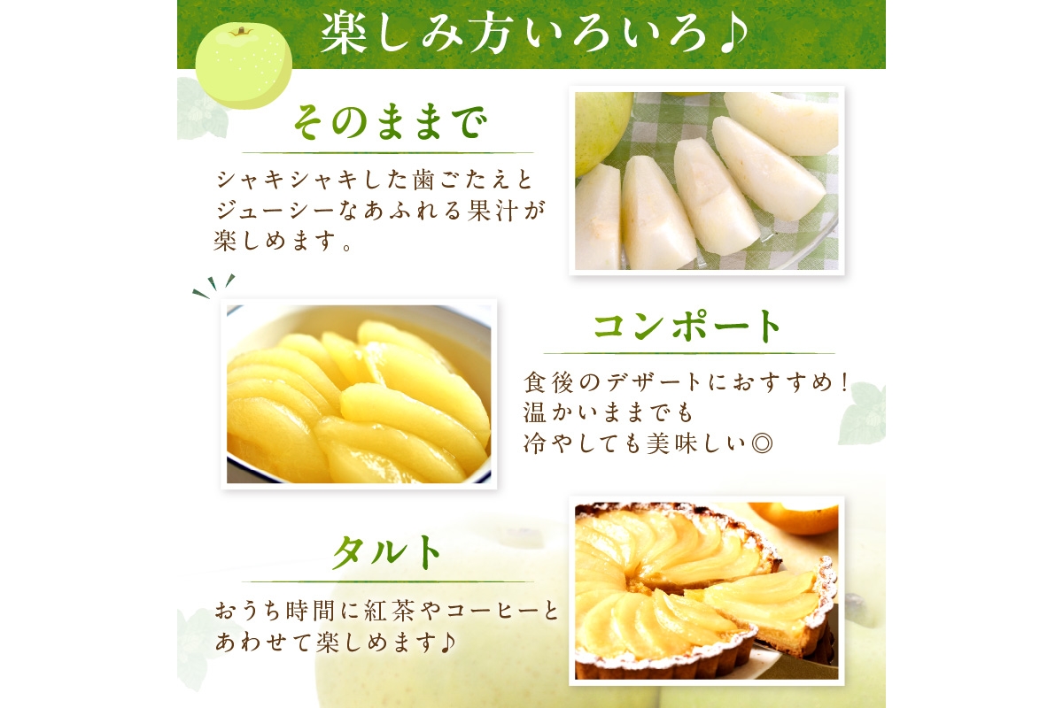 【先行予約／数量限定150】20世紀梨 5kg（2026年9月上旬～発送）　JK00038