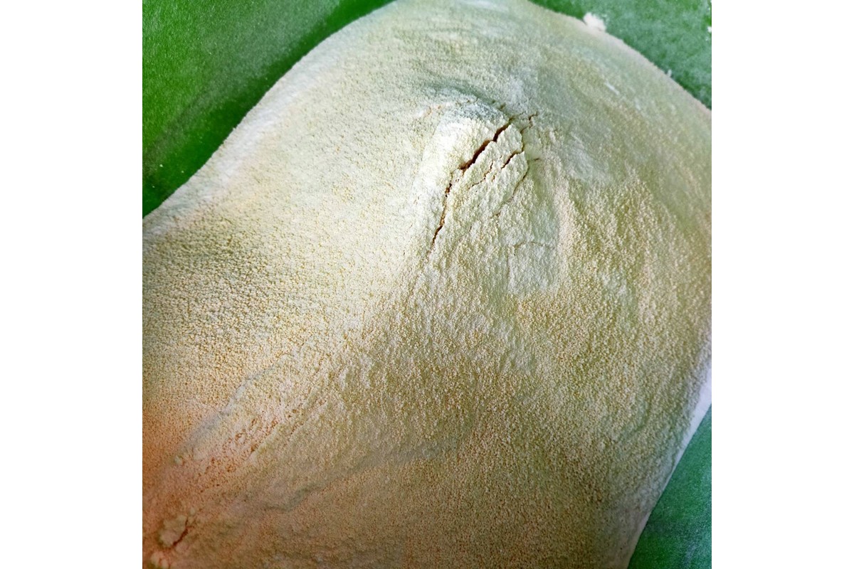 学校給食などの天ぷら油が大変身！地球に優しいエコなEM菌入石けん 海の京都 京丹後からお届け/粉石けん800g×2袋＋固形石鹸2個　KG00009