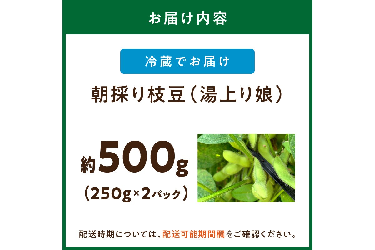 【先行予約／数量限定40】朝採り枝豆（湯上り娘）500g（250g×2パック）（栽培期間中農薬・化学肥料・除草剤不使用）（2026年7月上旬～発送）　KU00075