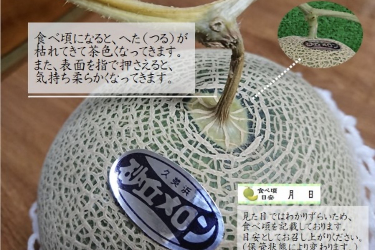 【先行予約】京都丹後久美浜産　砂丘メロン【オトメの祈り】　2Lサイズ／2玉入（2026年中旬～発送） LP00004