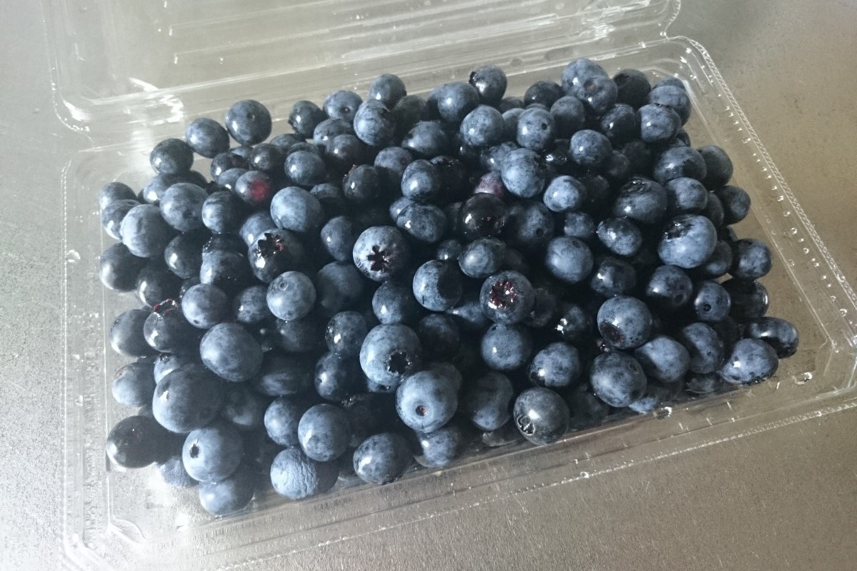 【先行予約／数量限定80】国産 京都丹後ブルーベリー 350g×2パック（2026年7月上旬～発送）　MB00002