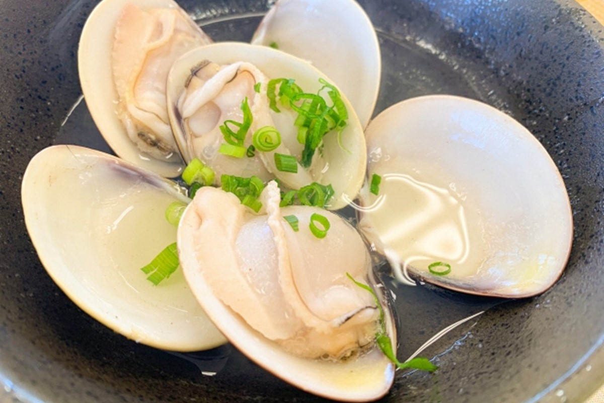 畜養活はまぐり 1kg　MN00036