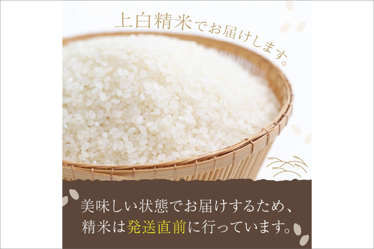 【定期便3回】令和7年産  丹後こしひかり 3kg×3ヵ月 1等米　MU00068