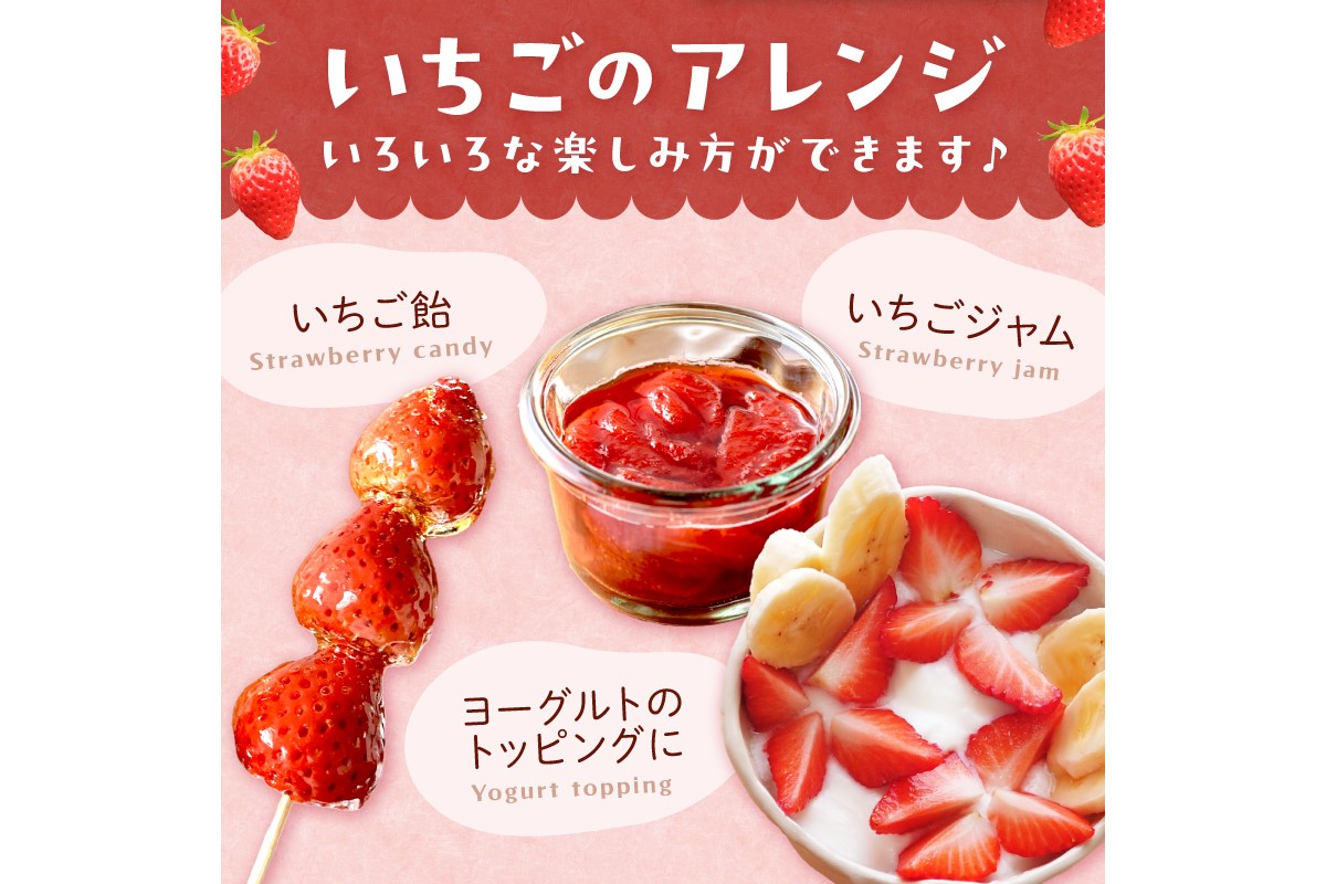 【先行予約／数量限定200】【特選】京都・まつみやファームの大粒いちご（あきひめイチゴ）15～20粒（2026年2月上旬～発送）　MY00009