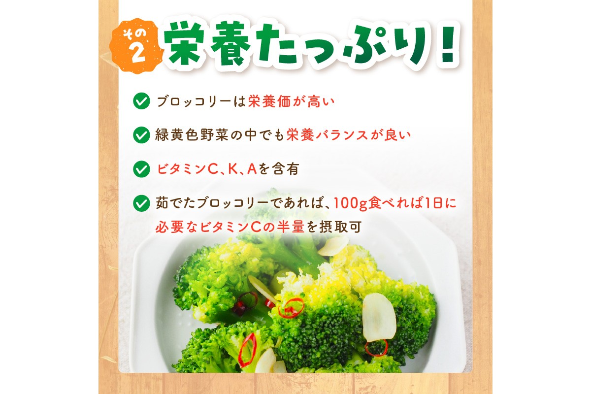 【先行予約】もりもり！ブロッコリー 約2kg（2025年11月上旬～発送）　MY00005