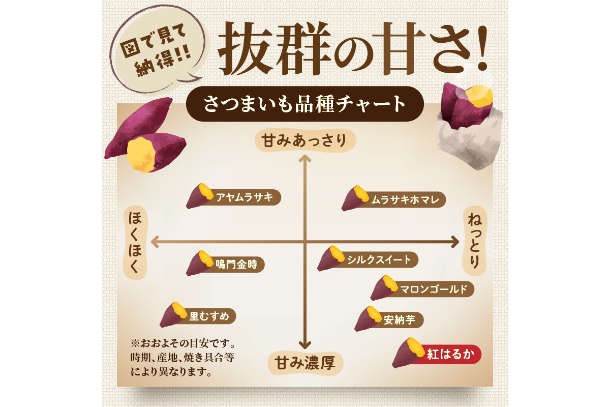 【先行予約】ホクホク美味しい！京丹後産 紅はるか 約1.5kg（土付き）（2026年10月上旬～発送）　MY00016