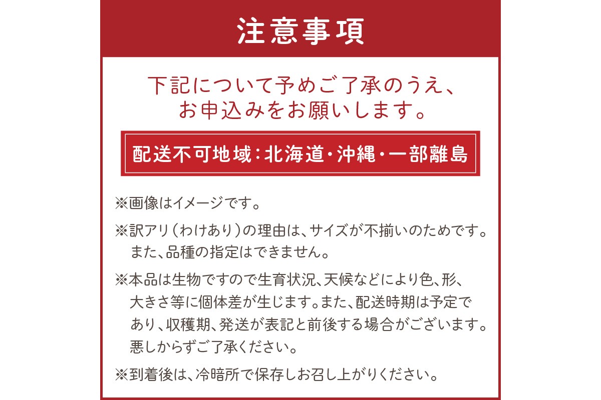 【2回定期便】京丹後産 訳あり 宝石のような輝き！カラフルミニトマト（2026年5月下旬～発送）　MY00015