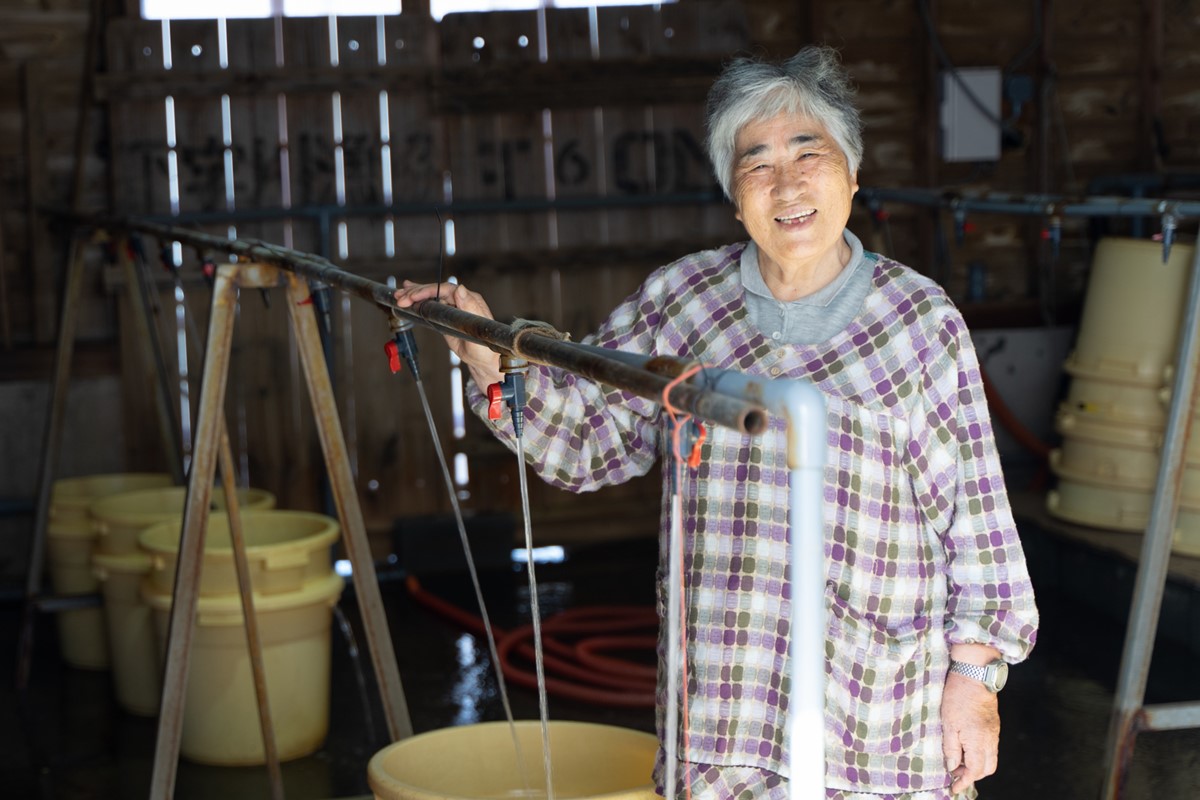 【数量限定】活黒あわび（養殖）　NA00002