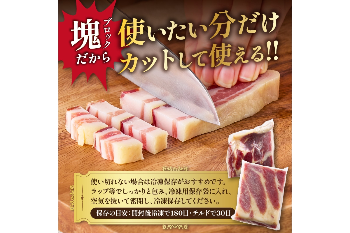 【定期便 隔月×3回】パンチェッタブロック（豚バラ肉の塩漬け）　約200g×2袋 ふるさと納税 豚肉 塩漬け ふるさと納税 ベーコン ふるさと納税 パンチェッタ 豚バラ 塩漬け スペイン料理　NI00024