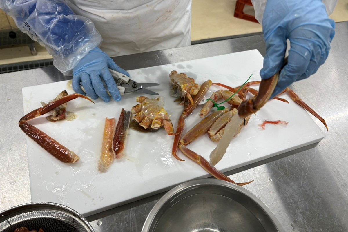 蟹しゃぶセット（本ズワイガニ900g～1kg×1杯分／蟹味噌付き・カニだし付き）　NJ00009