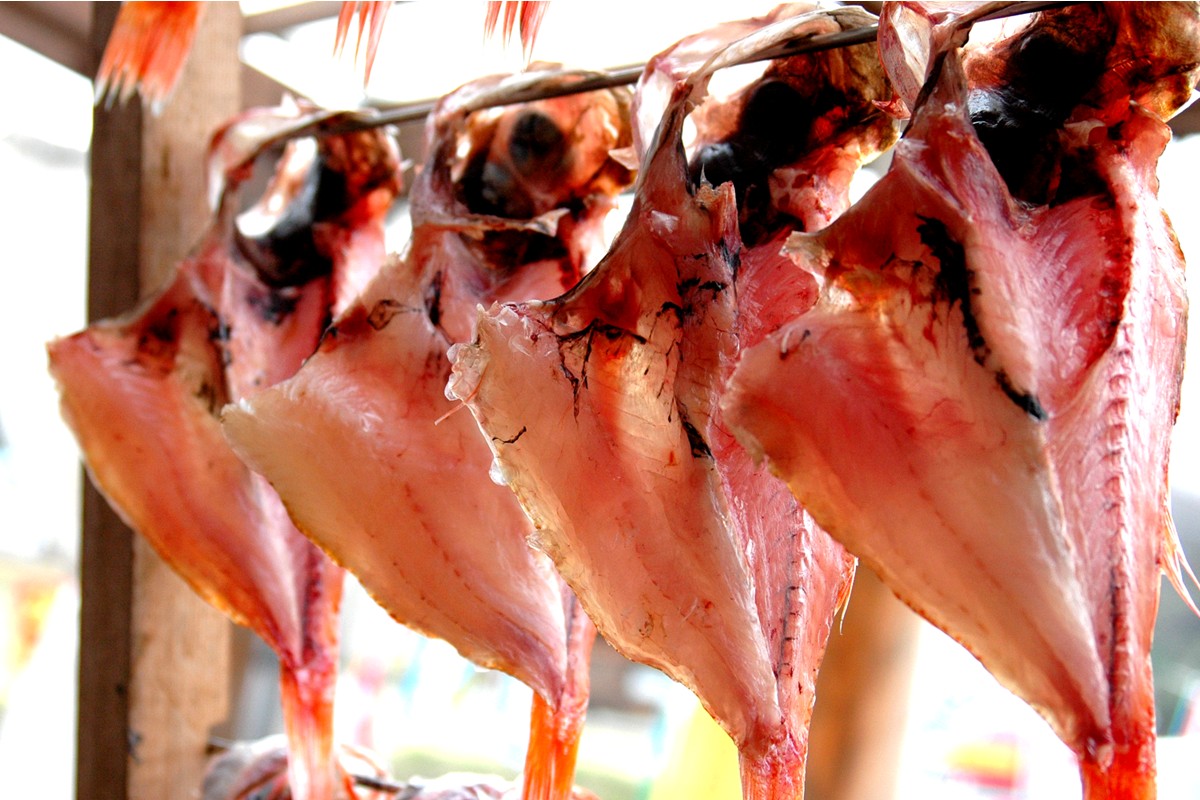 丹後ひもの屋自家製干物「旨干しノドグロの一夜干し」250ｇ～300ｇ級　3尾　漁師町の味！　OD00151