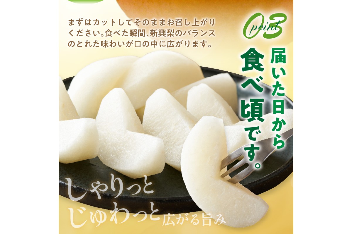【先行予約／数量限定50】新興梨 秀品 5kg（8～16玉入り）（2026年10月上旬～発送）　SF00042