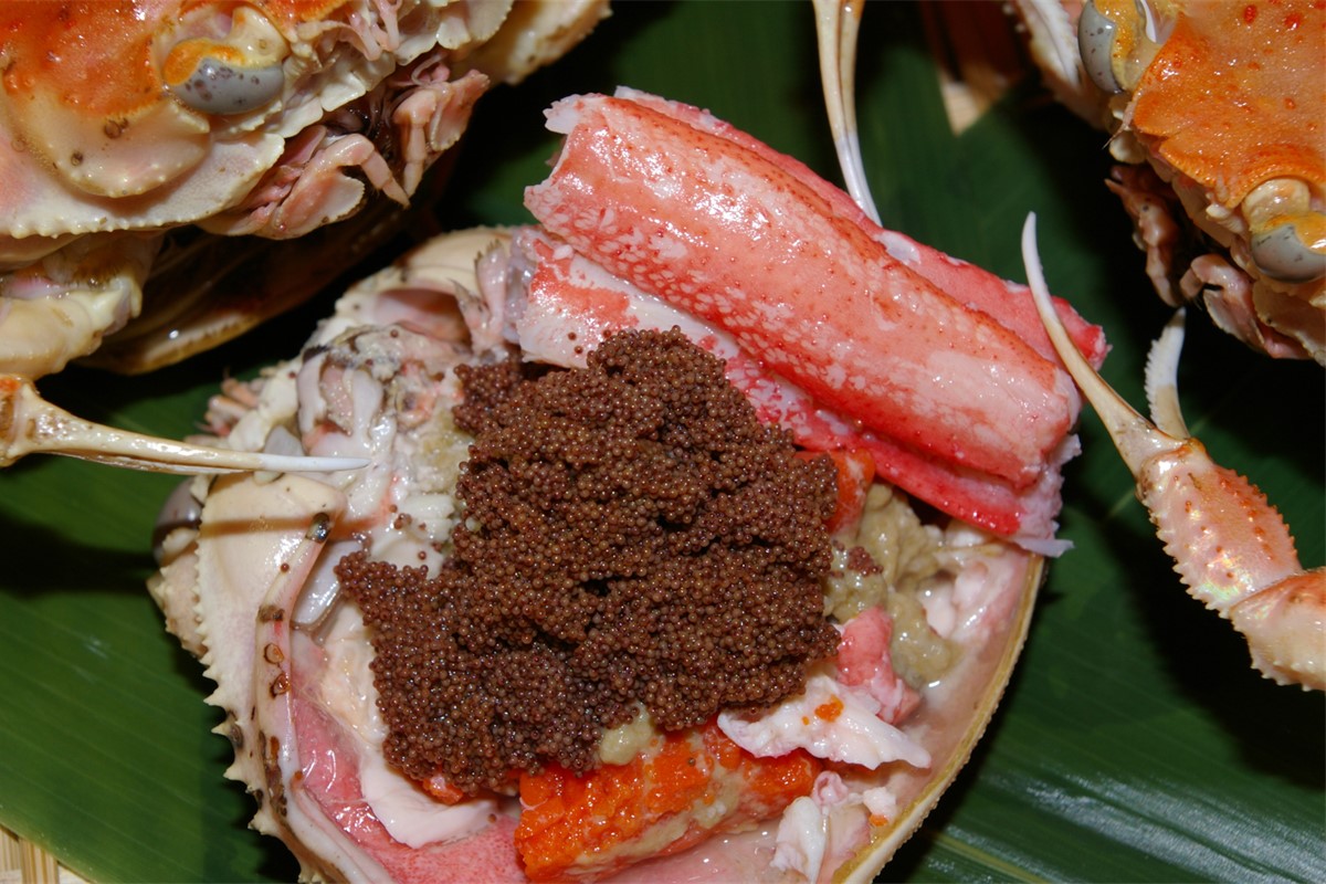 驚きの旨さ！茹でセコガニ 【訳あり】小サイズ5匹入　SS00084