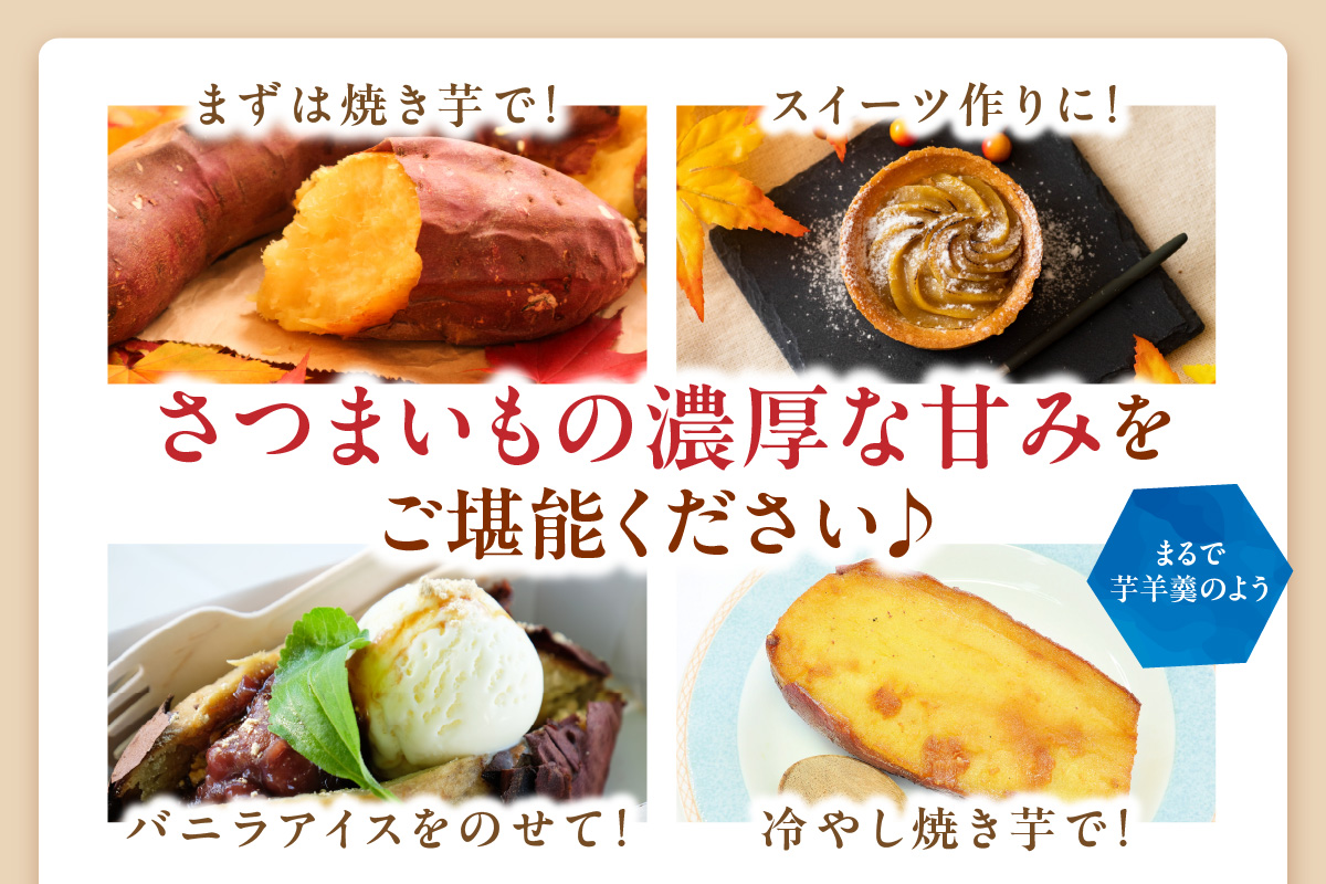 さつまいもオブザイヤー全国1位 京都・ 丹後産　さつまいも ふくむらさき　土付き（1本120〜450g程度）10kg　TF00058