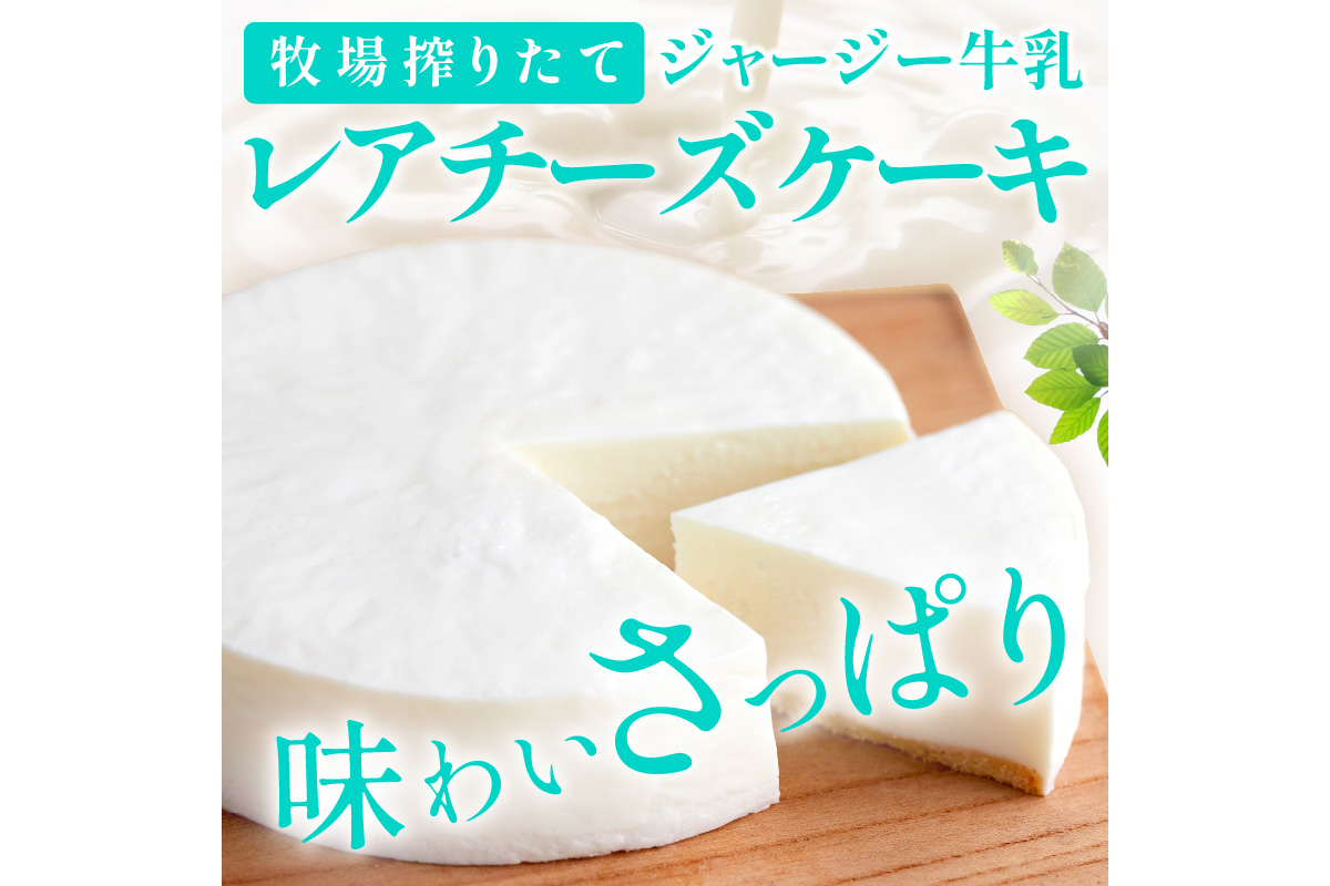 牧場のチーズケーキ（生）1個　TJ00013