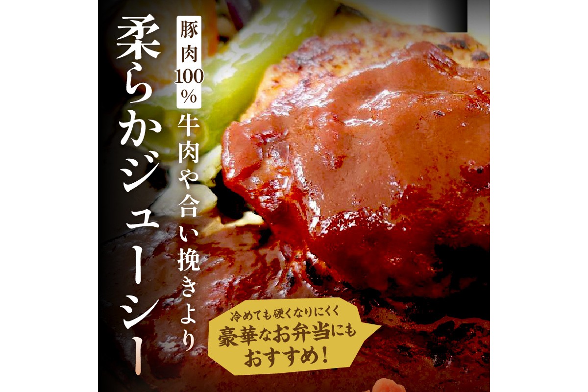 京都産三元豚ハンバーグ　6個セット　TN00022