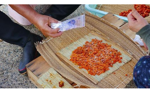 日本三大珍味の一つ！ 塩雲丹（汐うに）50g 2本セット　海鮮 魚介 魚介類 うに ウニ 珍味 冷凍 送料無料　UO01016