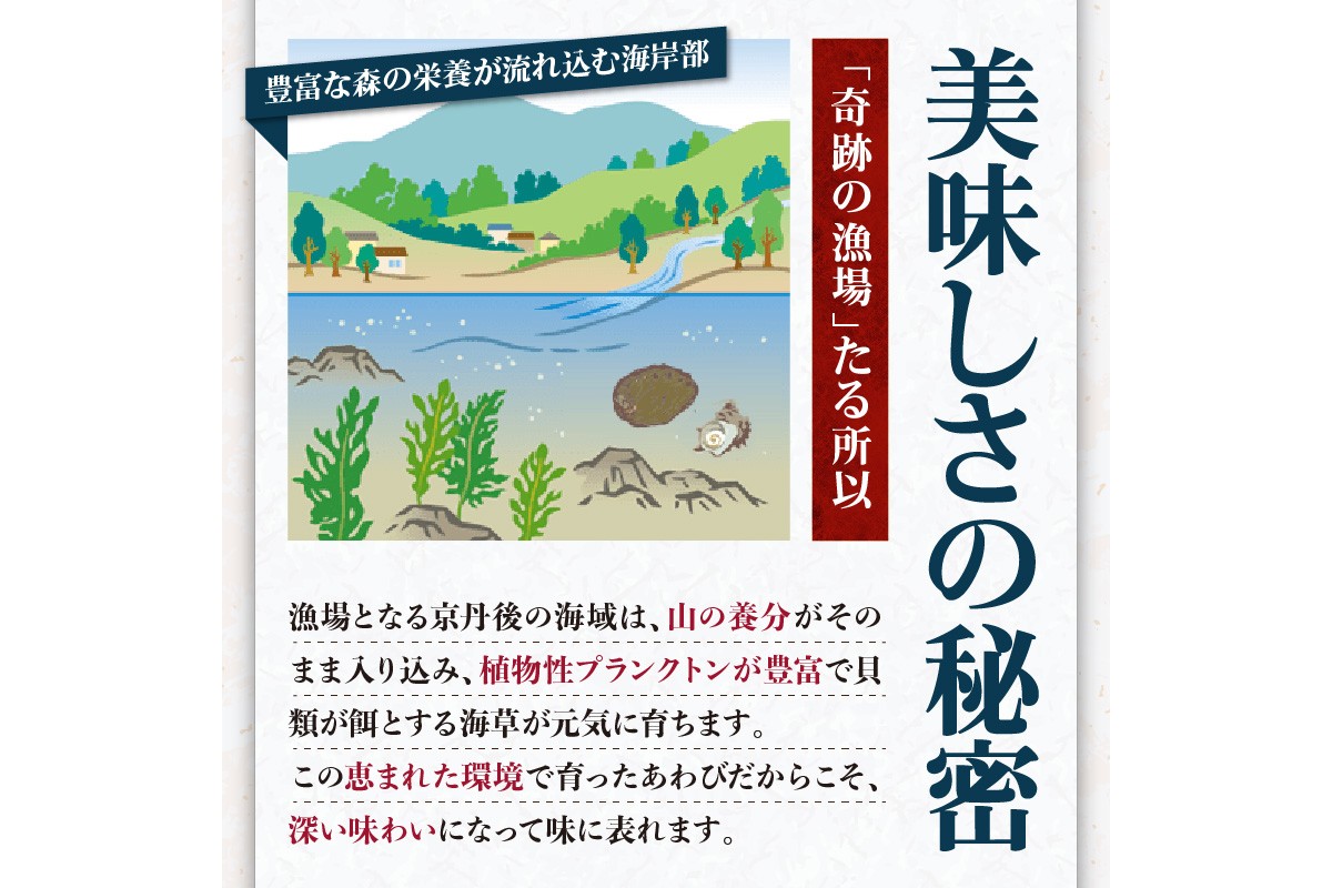 活きたまま届きます！ 天然黒アワビ 海水に酸素入りの特殊梱包 1000g入りおすすめセット　UO01022