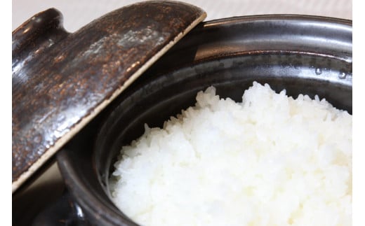 2026年産 丹後弥栄産コシヒカリ（玄米5kg）月1回×6ヵ月 ふるさと納税 お米 米 玄米 コシヒカリ 農家直送 丹後こしひかり ふるさと納税 玄米 定期便　WD00007