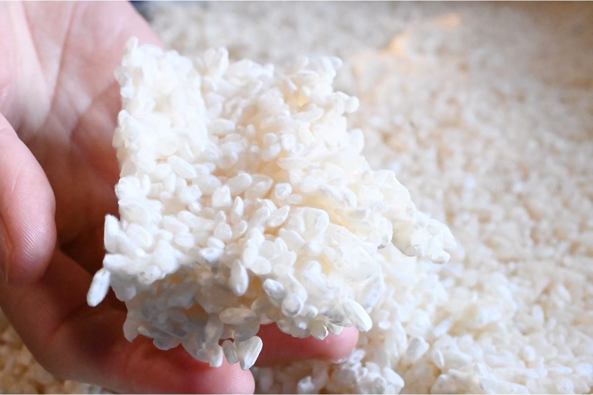 米麹（2025年度産日本晴使用）1kg　YF00006