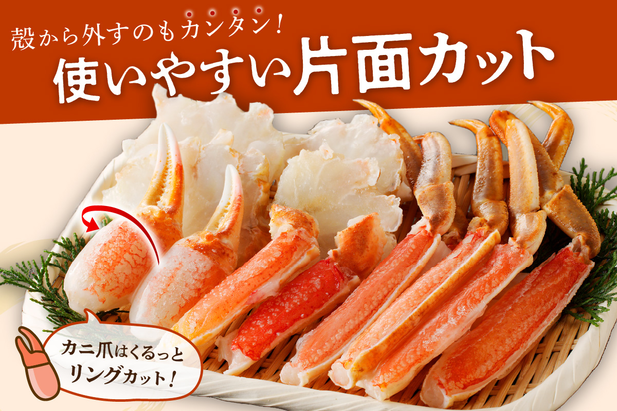 鮮度抜群！お刺身でも食べられる！カット生ズワイガニ 2肩分　YK00416