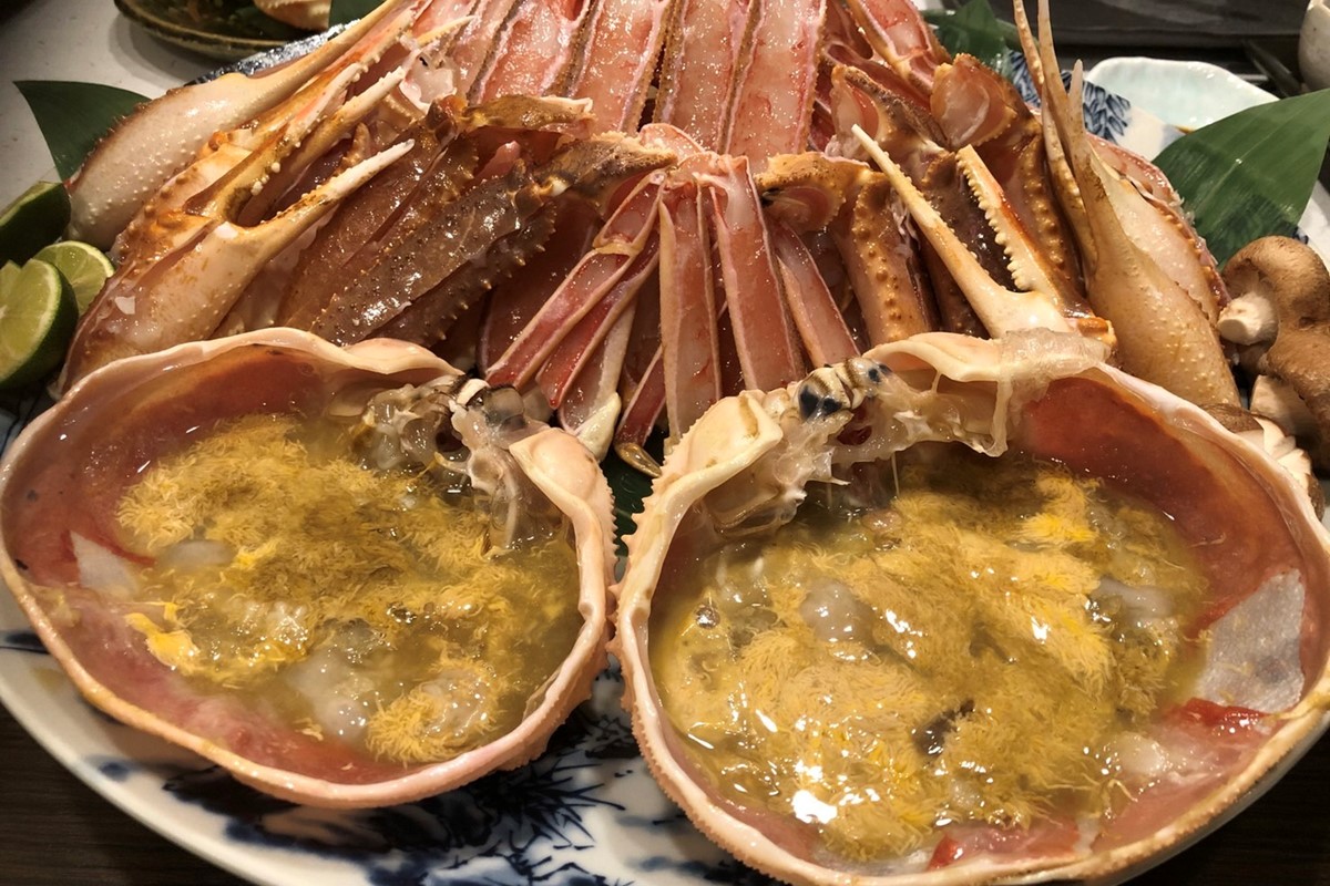 【幻のズワイ蟹】京丹後産 活間人蟹 鮮度抜群、活きたままお届け！！ 800g級×2杯　YK00082