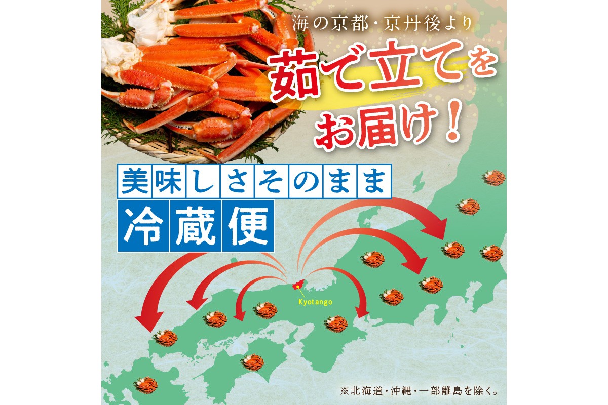 【ANA限定】【大好評！カニ酢付き】厳選！！釜茹で　本ズワイガニ　２Lサイズ5肩　ANAオリジナル　YK00407
