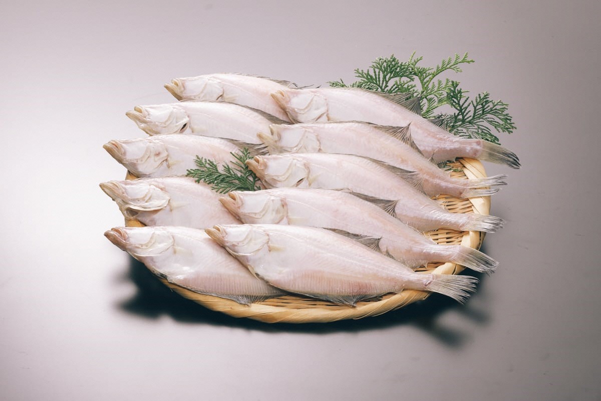 【店主一押し！絶品干物！高リピート！】エテカレイ一夜干し　中サイズ（朝食サイズ）12枚　YK00152