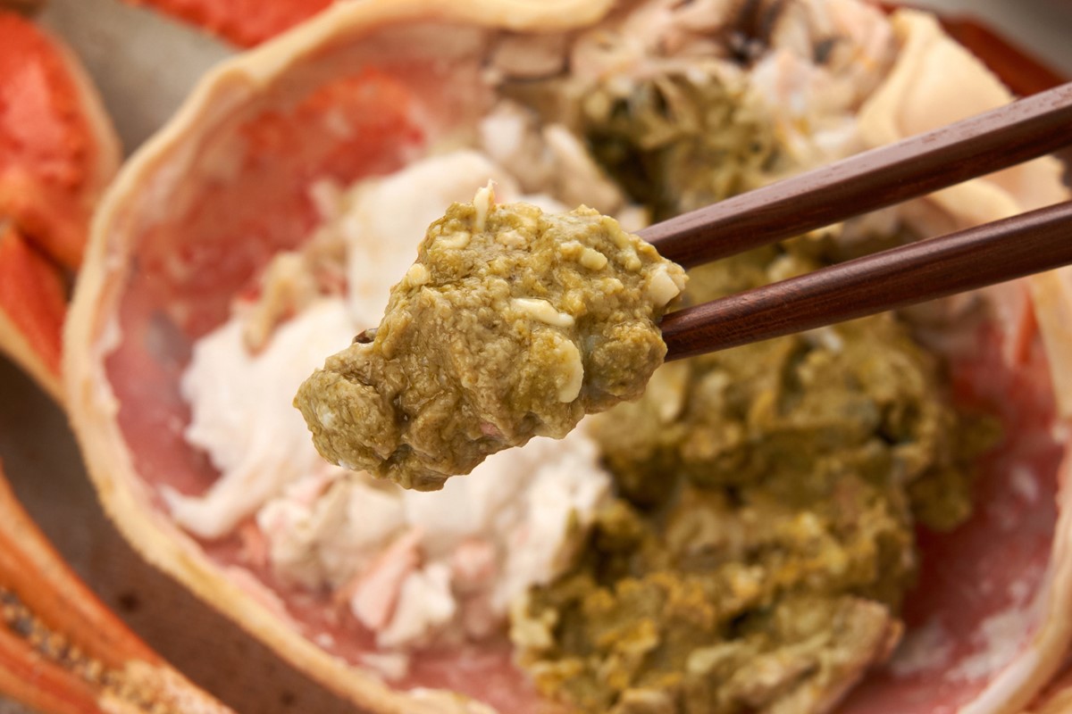 【先行予約】【厳選！タグ付きブランド蟹】茹で松葉かに（600g級×1杯）（2026年1月～発送）　YK00229