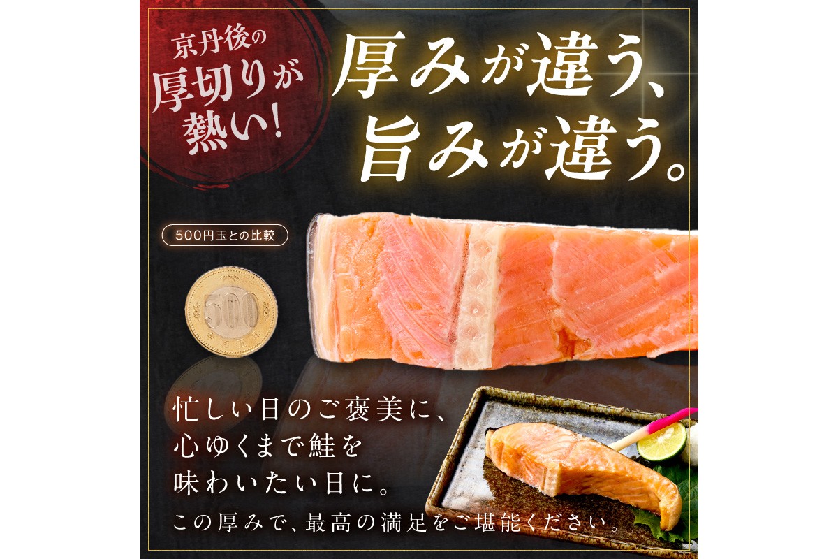 お手軽！絶品！厚切り　塩銀鮭切身 約1kg（プロトン凍結　訳あり　不揃い）　YK00579