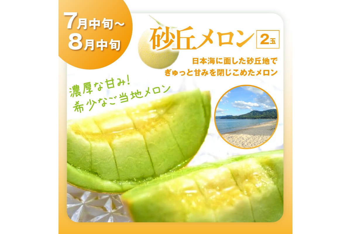 【先行予約／フルーツ定期便4回】旬の果物厳選！京丹後フルーツ王国満足セット（完熟イチゴ・メロン・完熟ブドウ＆シャインマスカット食べ比べ・二十世紀梨）（2026年2月中旬～発送）　YK00516