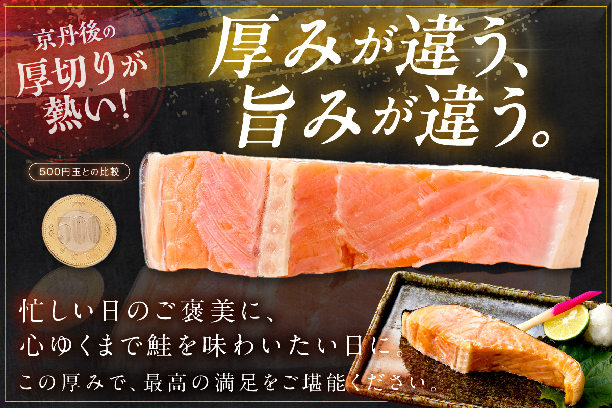 お手軽！絶品！厚切り　塩銀鮭切身 約1kg（1袋）（プロトン凍結　訳あり　不揃い）　定期便　月1回×3ヵ月 ふるさと納税 鮭 海老 魚介 魚 銀鮭 シャケ えび  海鮮 さけ 規格外 おかず 弁当 切身 冷凍 家庭用　YK00616