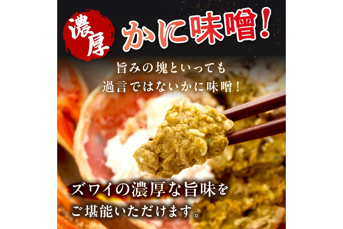 【大好評！カニ酢付き】訳あり！釜茹で！特大本ずわいがに姿 1kg×1杯　YK00484