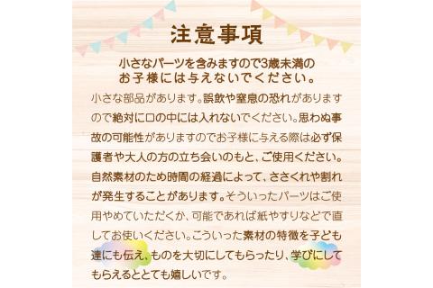 たまころこーすたー（大）　EG00024