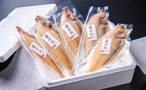 【海鮮の匠　魚政】笹かれい一夜干し（ササカレイ、ヤナギムシカレイ）中サイズ 5尾セット　UO00064