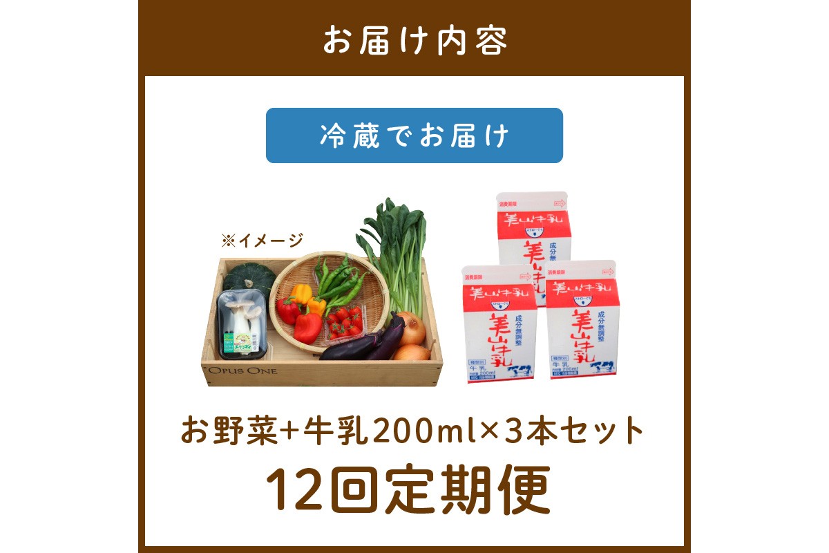 【定期便】合計12回お届け　有機野菜・京野菜の『京都やおよし』のお野菜＆牛乳200ml×3本の詰め合わせ　AA00045