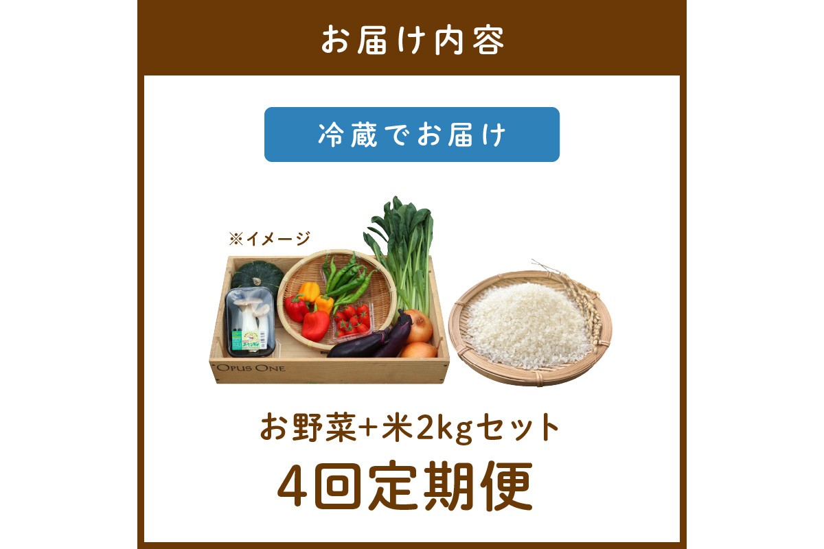 【定期便】合計4回お届け　有機野菜・京野菜の『京都やおよし』のお野菜と米2kgの詰め合わせ　AA00047