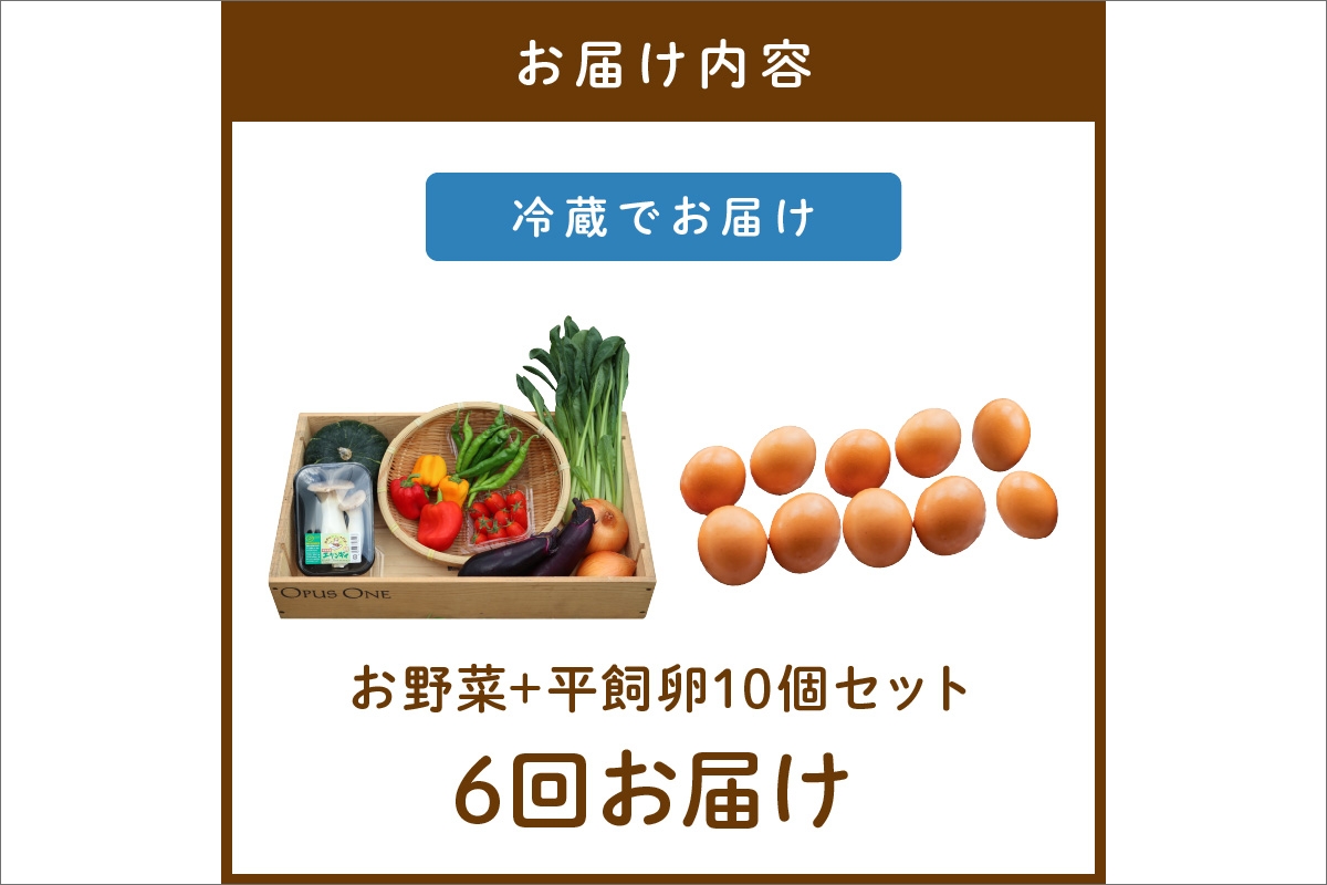 【定期便】合計6回お届け　有機野菜・京野菜の『京都やおよし』のお野菜＆平飼玉子10個の詰め合わせ　AA00055