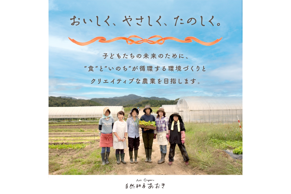 自然栽培じゃがいも 2.5kg 京都・京丹後産 自然栽培 旬野菜　じゃがいも 芋 いも 野菜 やさい 根菜 旬 京都 京丹後 自然栽培 農薬不使用　AB00009