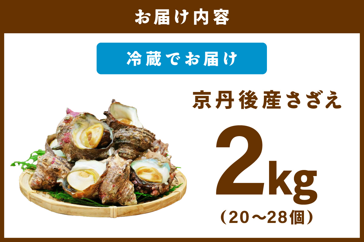 最高鮮度の生きたまま発送！日本海荒波育ち京丹後産さざえ2kg/北畿水産　HK00271