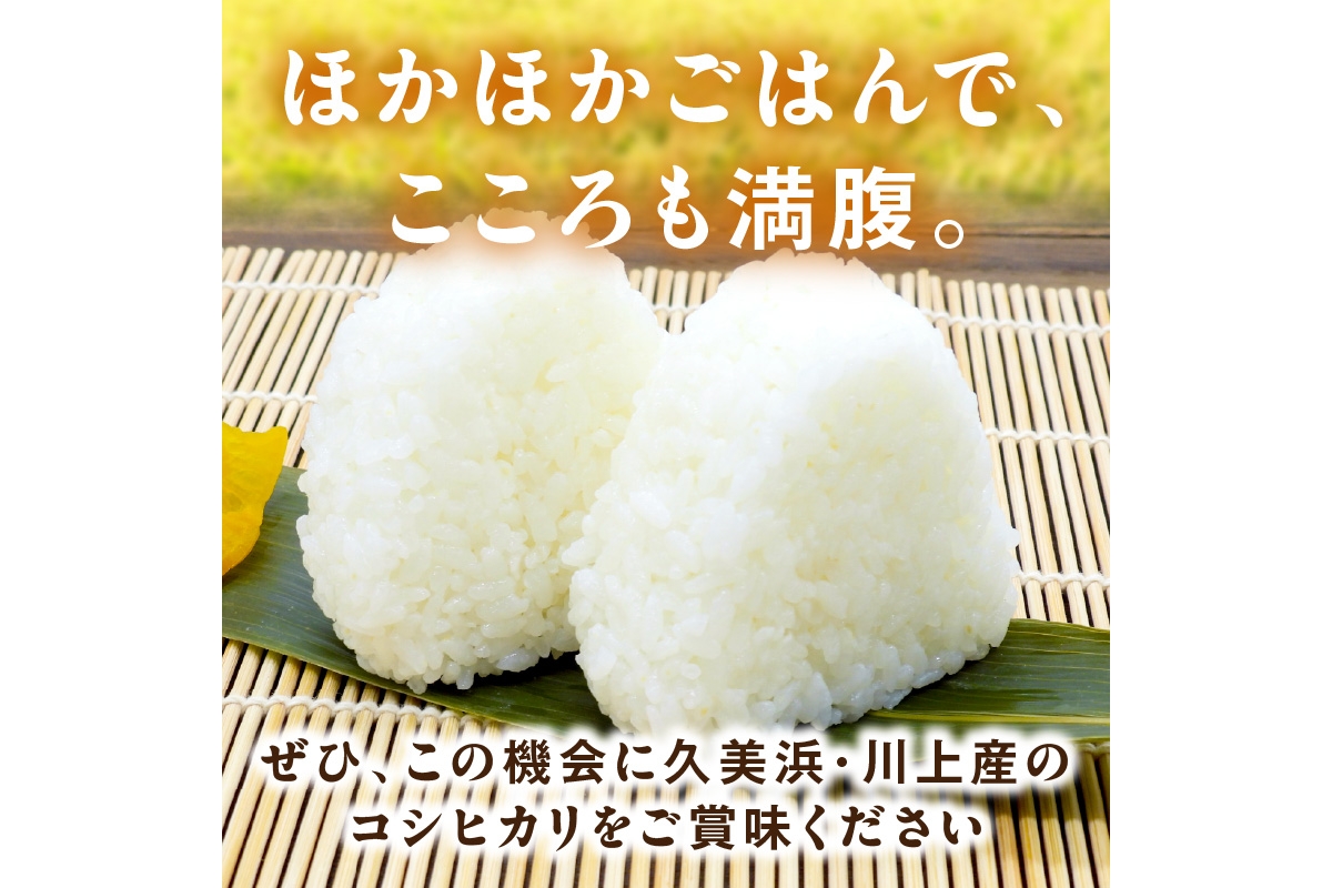 2025年産 京都・久美浜産 特別栽培米コシヒカリ 1.5kg　AL00006