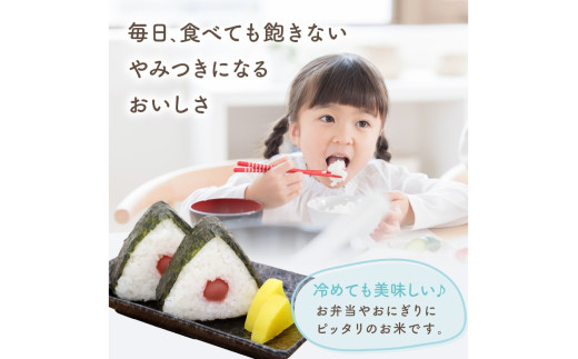 令和7年産　京都・京丹後産コシヒカリ　5㎏（5kg×1袋）　TO00123