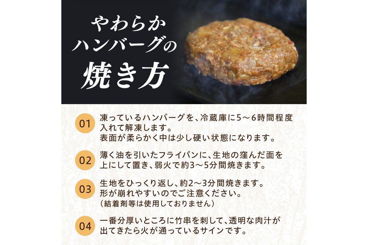 塩で食べるやわらかハンバーグ（デミグラスソース付）　国産 牛肉 はんばーぐ　NH00040