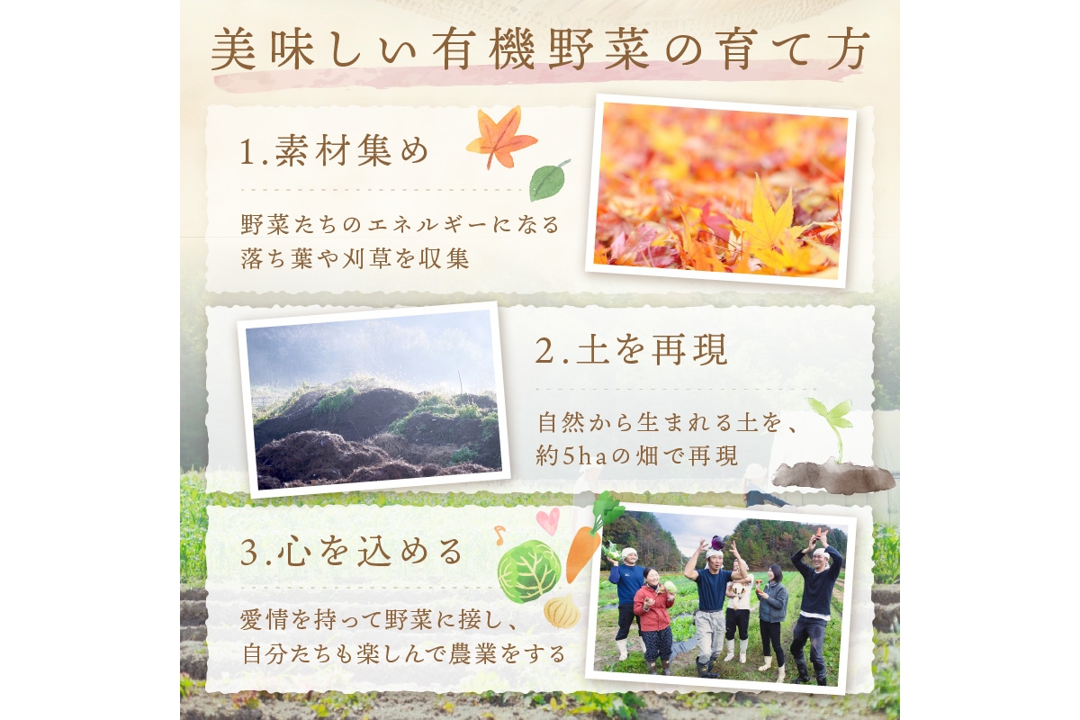 ＜てんとうむしばたけ＞オーガニック野菜セット　有機野菜6～7種(2人用)　BR00058