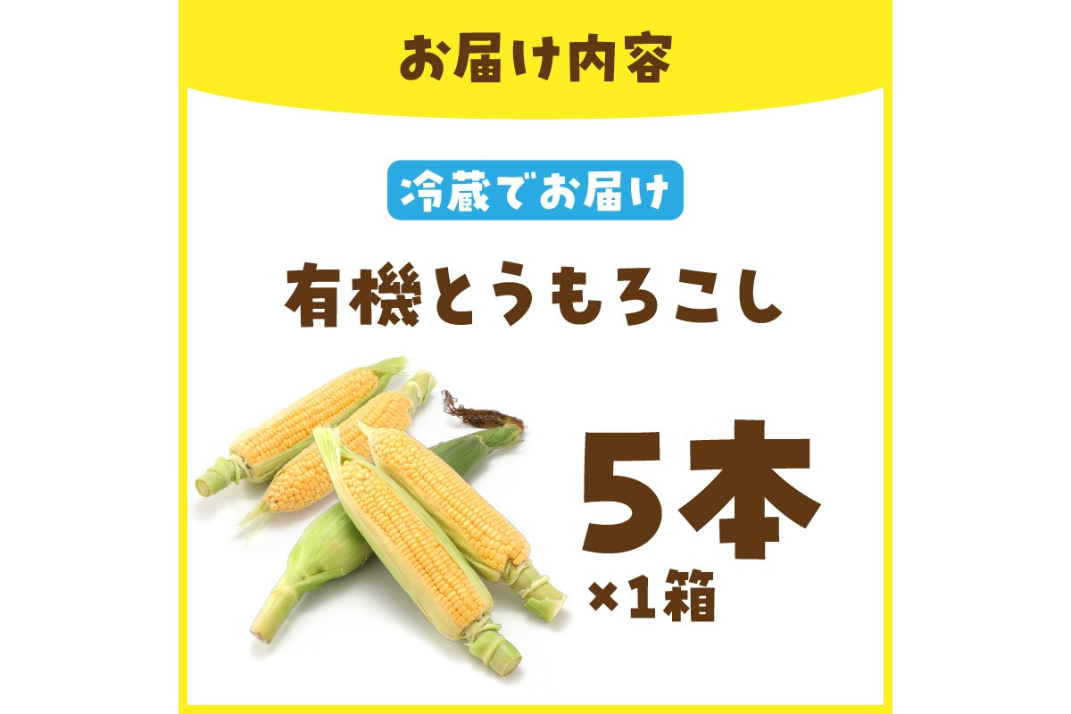 ＜てんとうむしばたけ＞有機とうもろこし5本　有機野菜 甘い 野菜 ふるさと納税 とうもろこし 期間限定 とうもろこしごはん かき揚げ 有機 オーガニック 産地直送 旬野菜 旬 コーン バター ペッパーランチ シャキシャキ 弾ける 丸ごと かぶりつき　BR00029