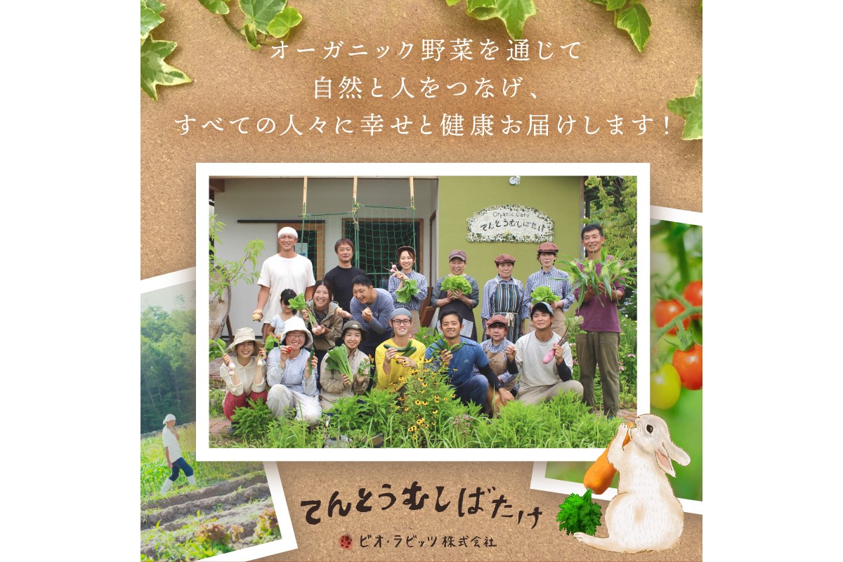 季節のオーガニック野菜ドレッシング2本セット　BR00039