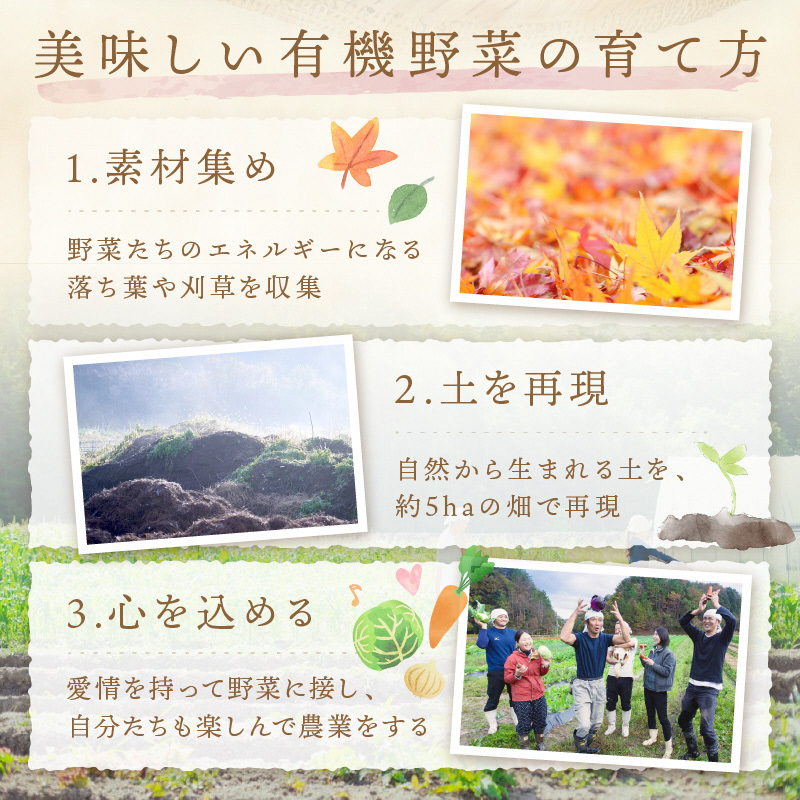 【先行予約：7月配送】＜てんとうむしばたけ＞夏のオーガニック野菜セット　有機野菜6～7種前後　BR00057_07