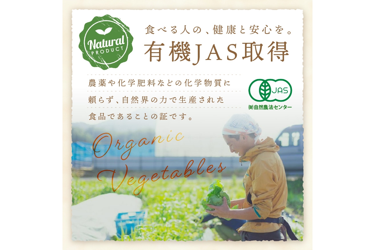 【先行予約：5月配送】＜てんとうむしばたけ＞初夏のオーガニック野菜セット　有機野菜6～7種前後　BR00057_05