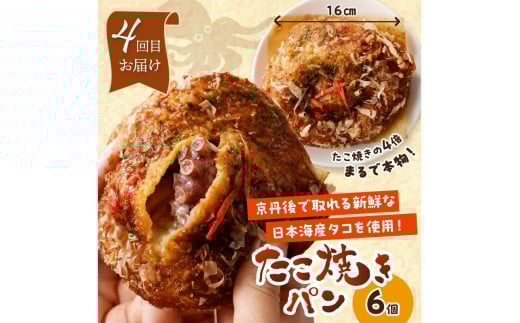 京都 丹後のおまかせ　お楽しみパン５カ月定期便　【訳あり】　BT00022