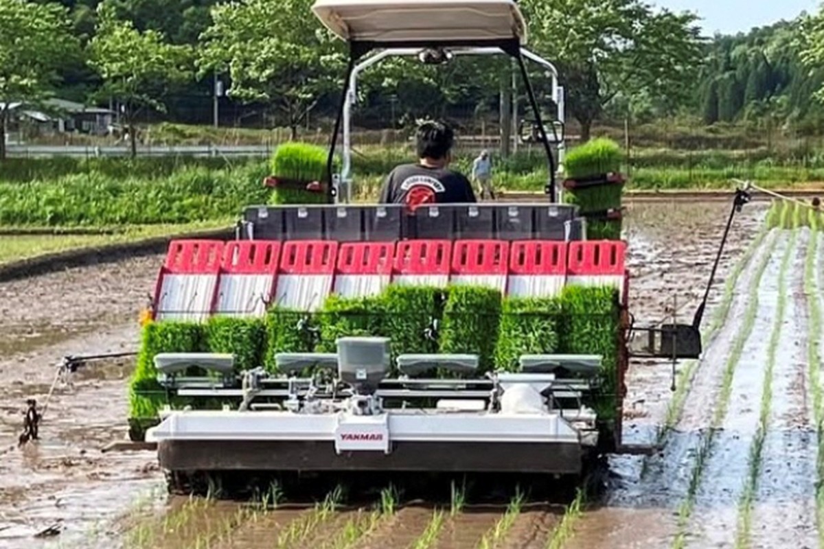 京都・久美浜産 特別栽培米コシヒカリ 5kg（玄米）　BV00002